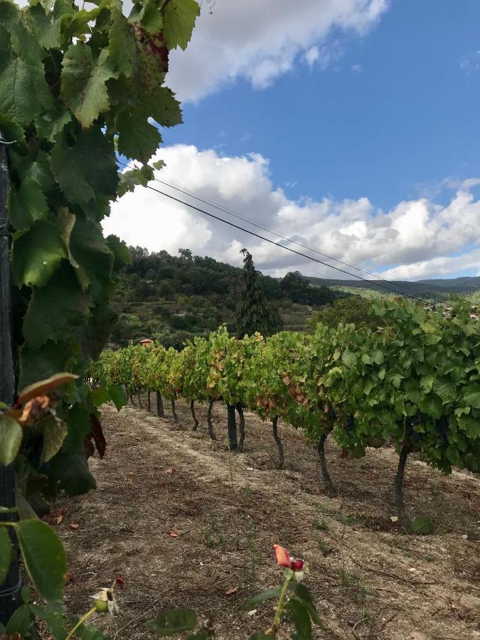 Private Douro- Quinta Das Susandas Mesão Frio Eksteriør bilde