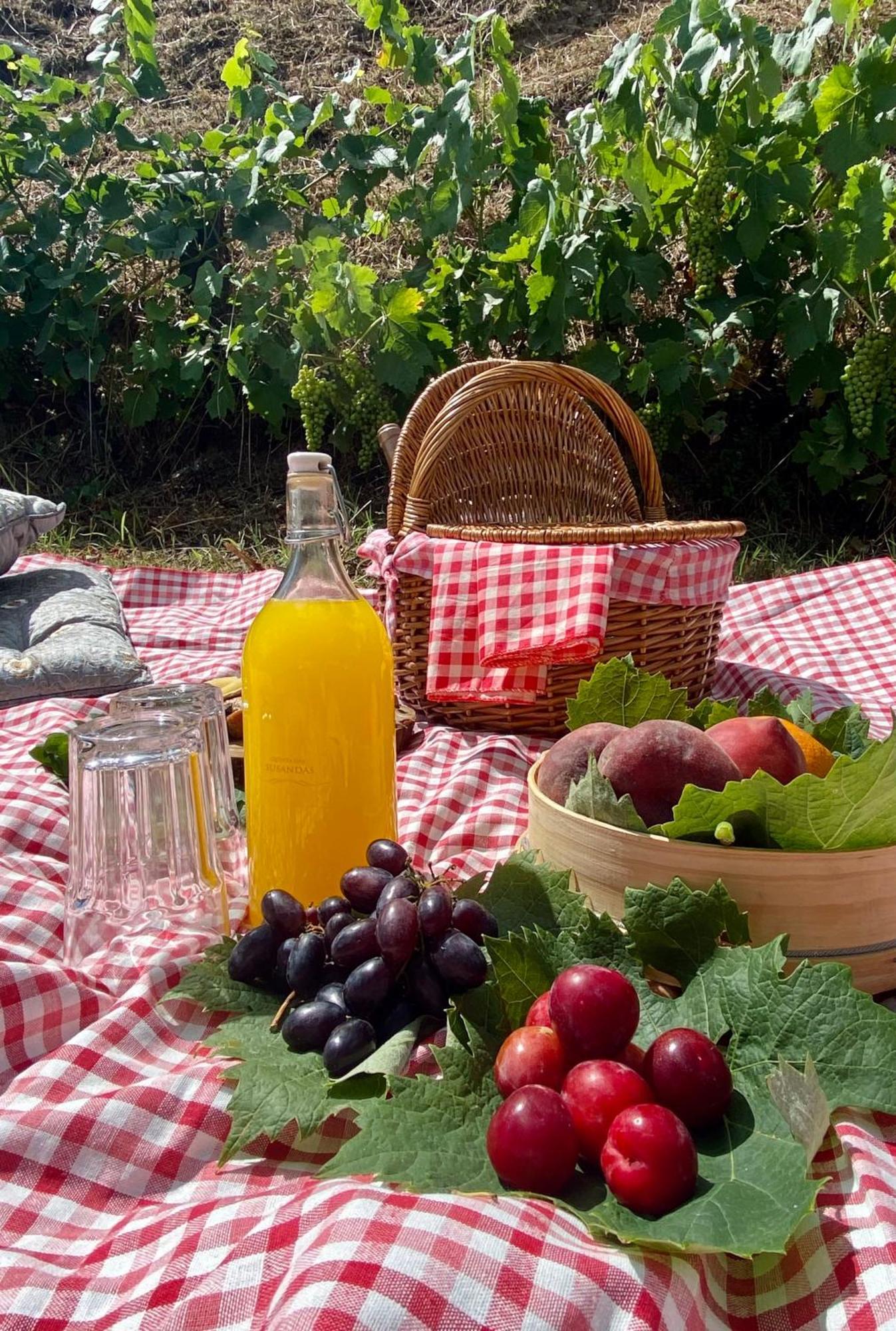 Private Douro- Quinta Das Susandas Mesão Frio Eksteriør bilde