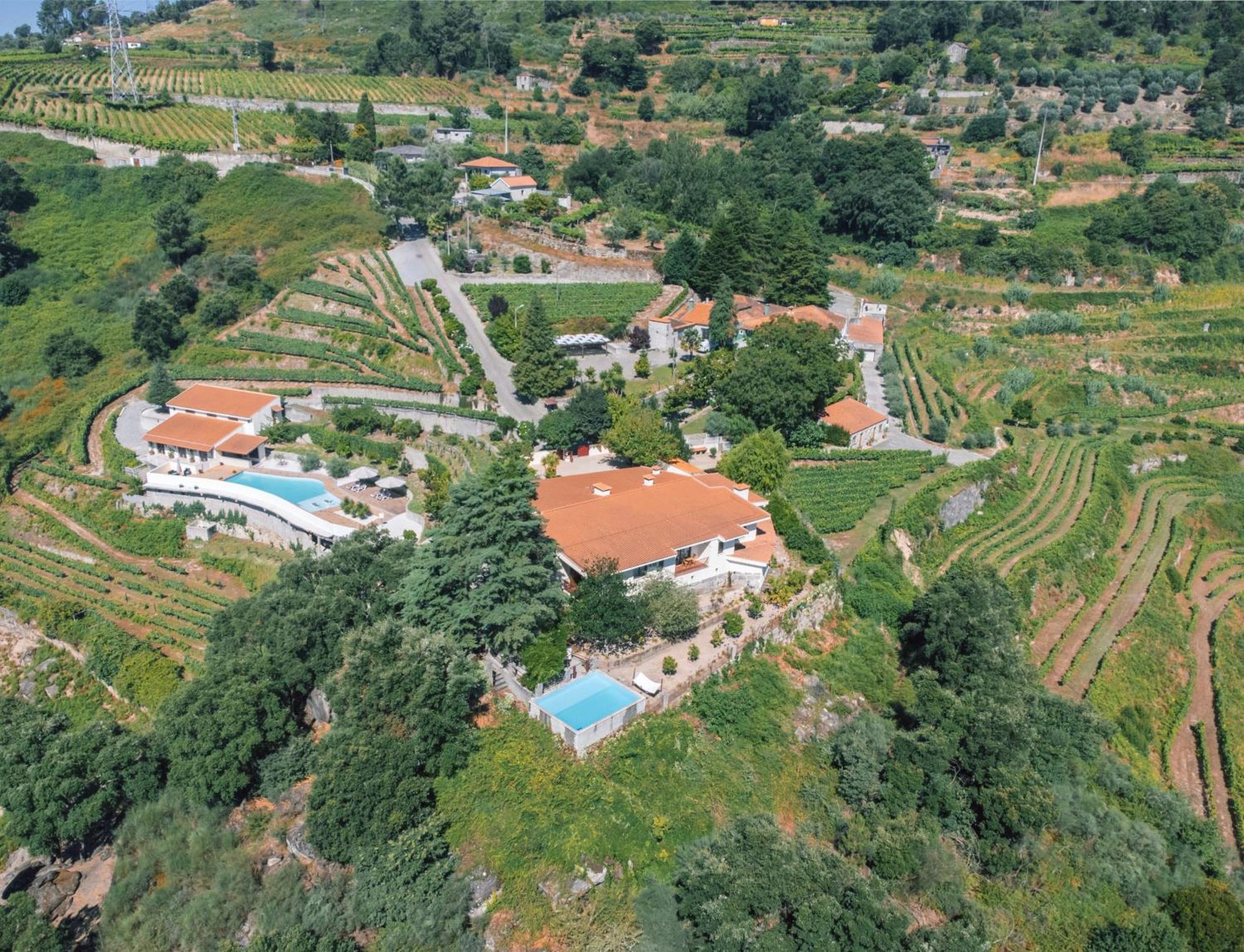 Private Douro- Quinta Das Susandas Mesão Frio Eksteriør bilde